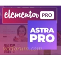 Wordpress Elementor Pro Astra Pro - Astra Premium Sites